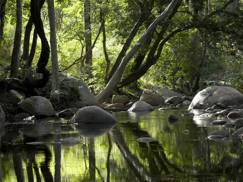 Chinnar Wildlife Sanctuary