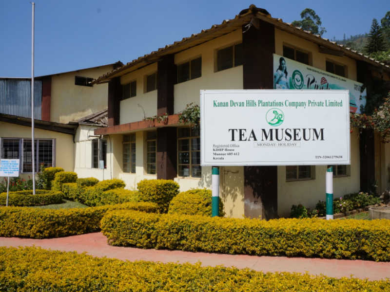 Tea Museum