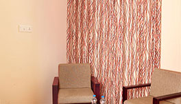 Pine Tree-Sugar Pine